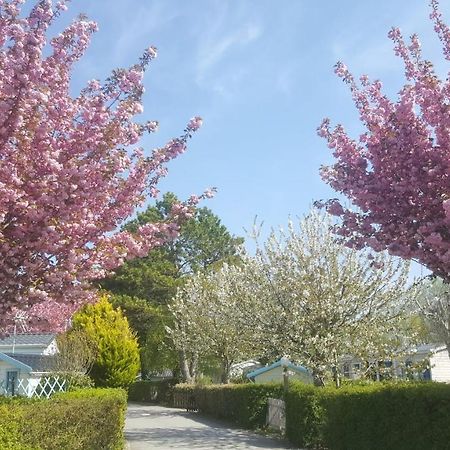 Verton Camping Caravaning Les Cerisiers Berck Sur Mer מראה חיצוני תמונה