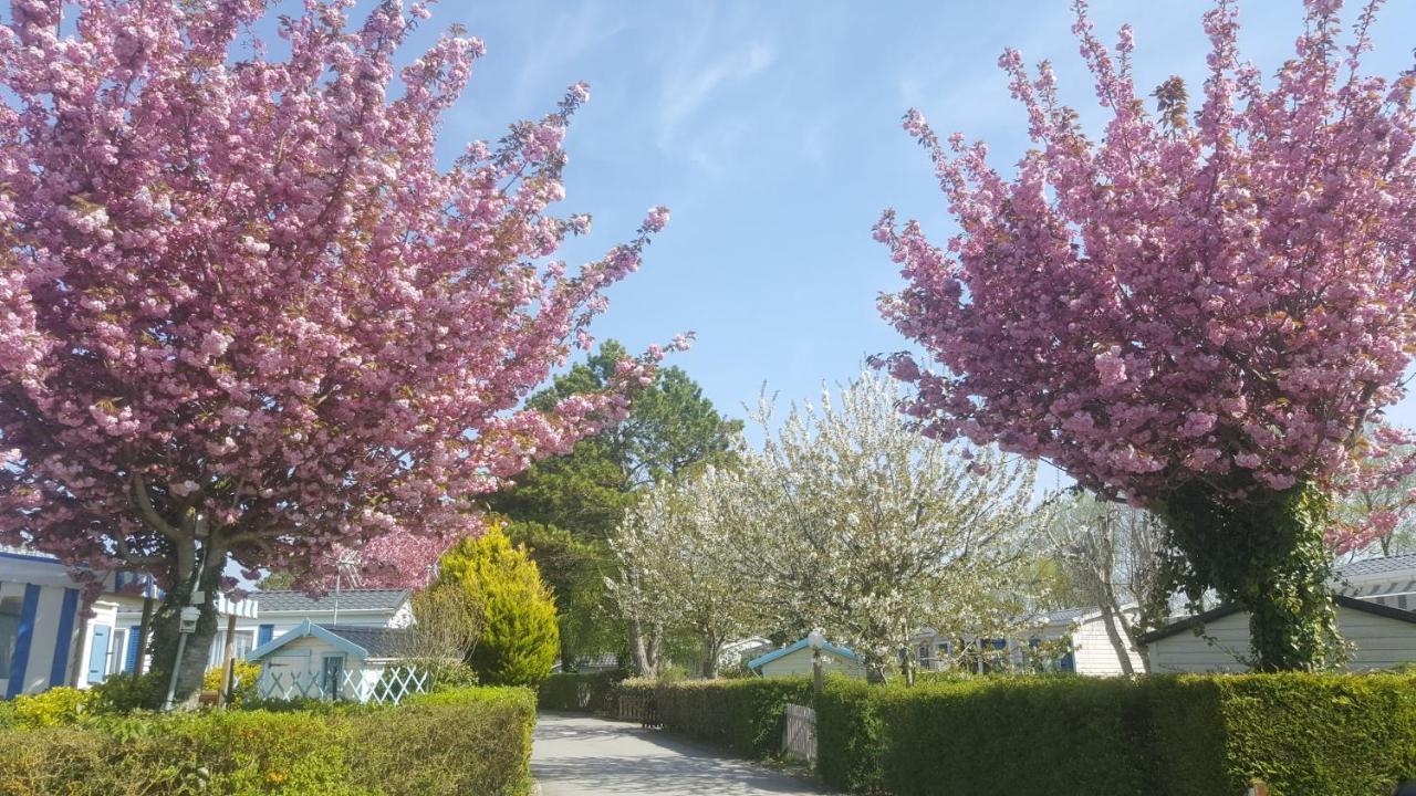 Verton Camping Caravaning Les Cerisiers Berck Sur Mer מראה חיצוני תמונה